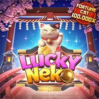 neko HORE55